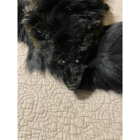 Vintage 1950s Glamour Authentic Large Black Silver Fox Fur Taxidermy Stole Scarf - Picture 3 of 7
